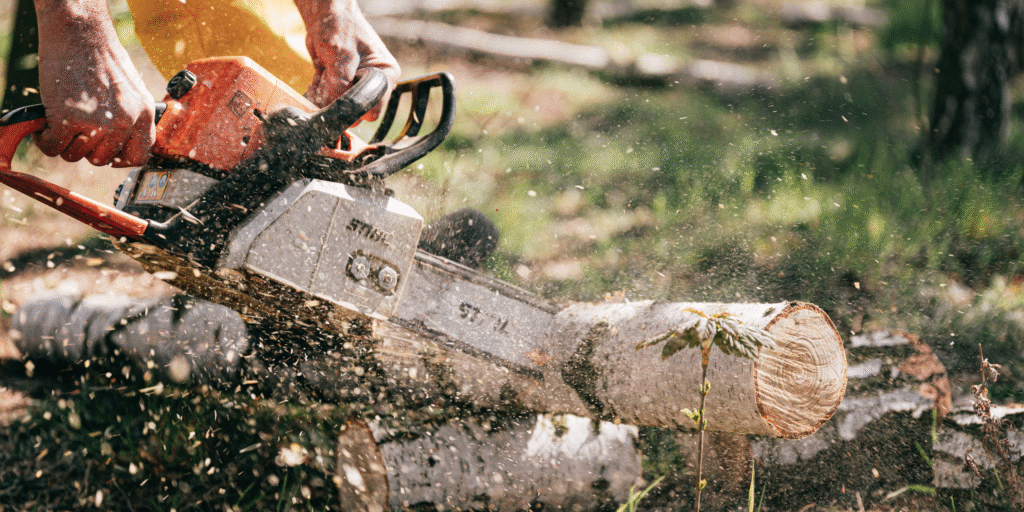 ¡Potencia, precisión y confianza! Conoce nuestros productos STIHL en La Brocha de Romita