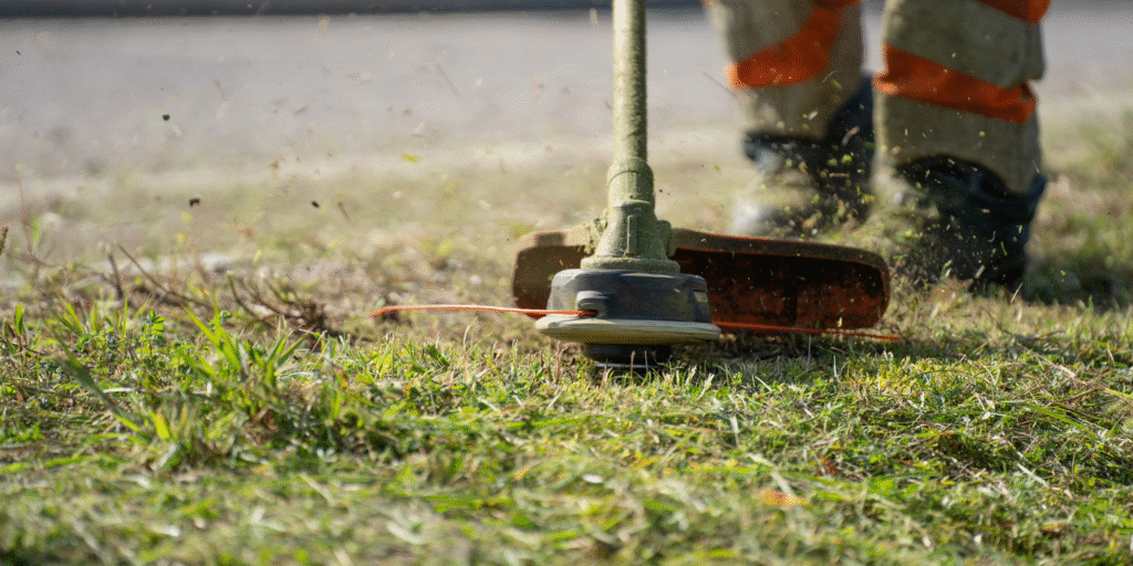 ¿Cuál desbrozadora es para ti? Conoce nuestras opciones eléctricas e inalámbricas