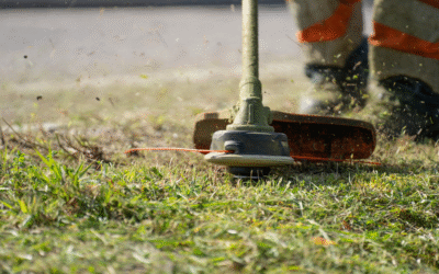 ¿Cuál desbrozadora es para ti? Conoce nuestras opciones eléctricas e inalámbricas