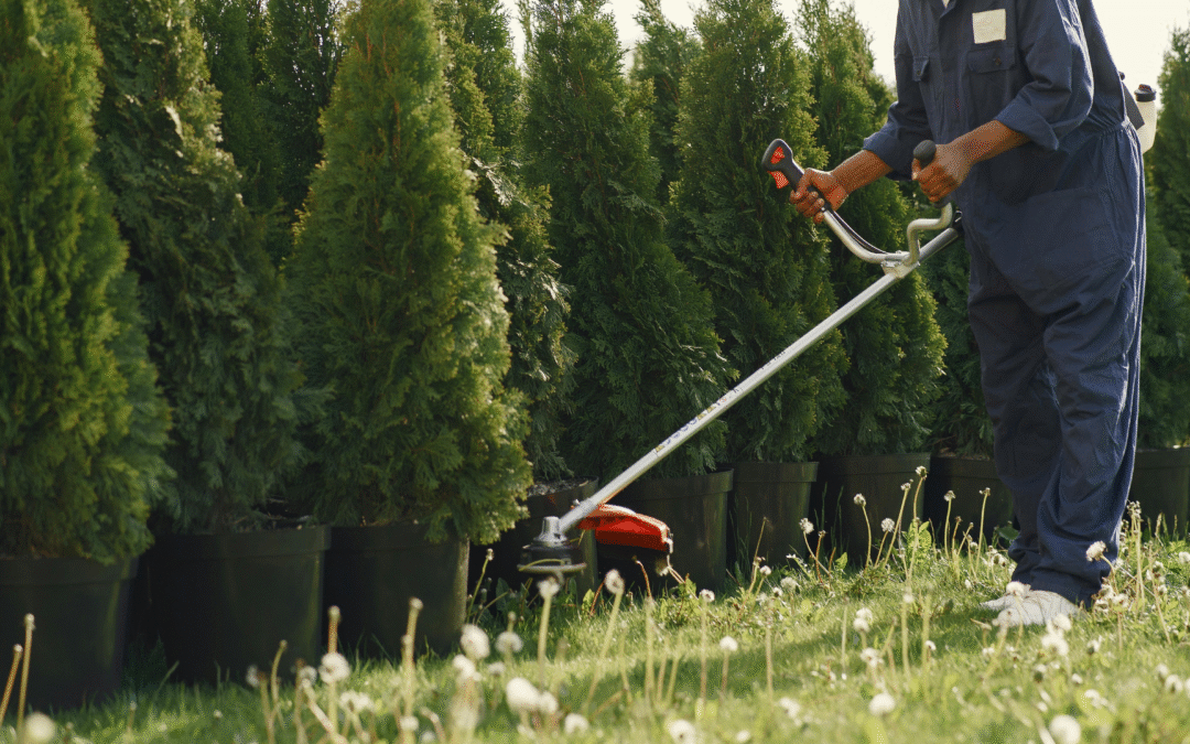 desbrozadora STIHL